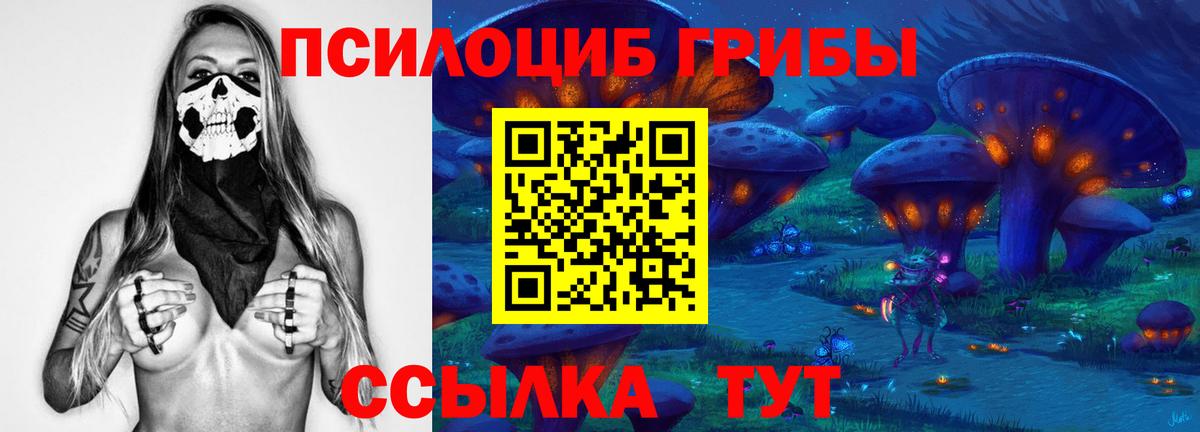 Псилоцибиновые грибы Cubensis Узловая