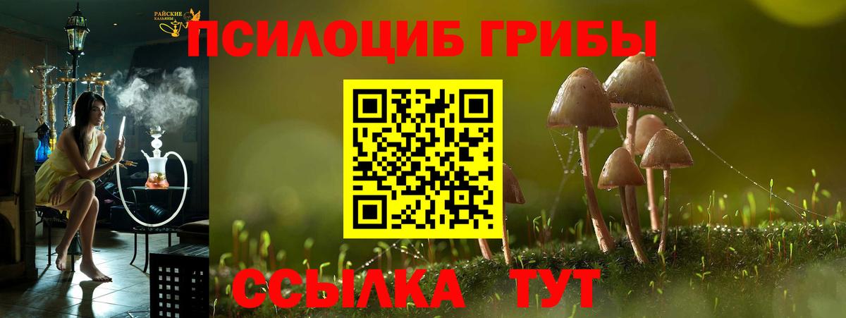 купить закладку  Галлюциногенные грибы Psilocybe  Вход с VPN  Псилоцибиновые грибы MAGIC MUSHROOMS  Узловая 