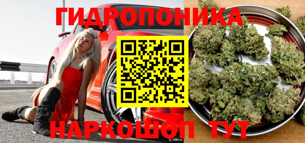 Шишки марихуана ГИДРОПОН Узловая